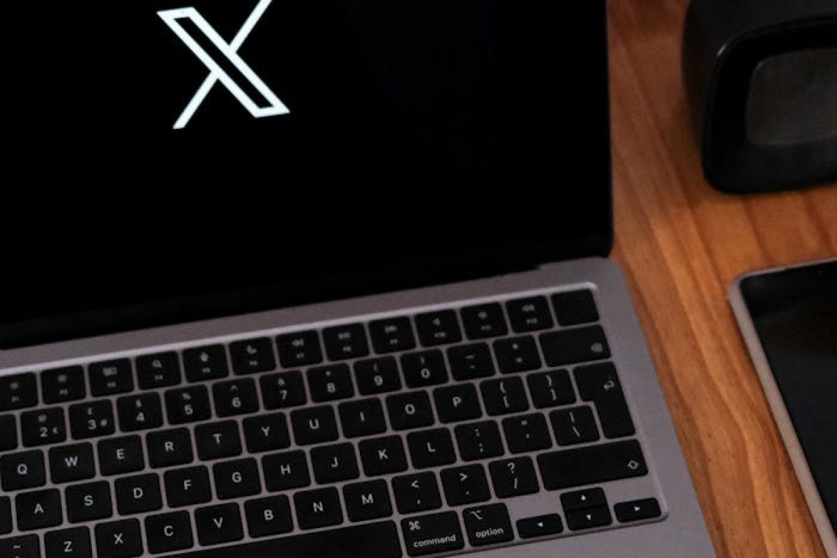pexels-photo-19826625-19826625.jpg